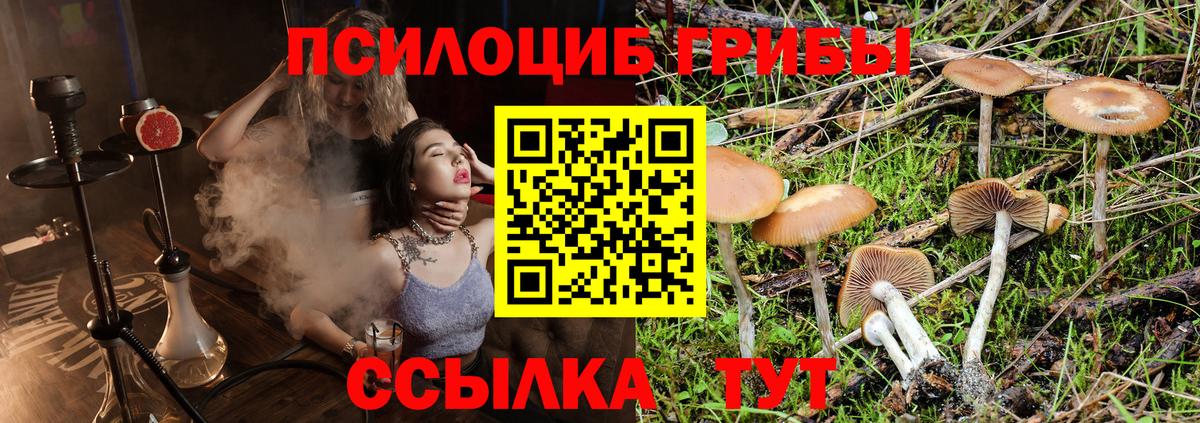 Биробиджан  Галлюциногенные грибы Psilocybe  где можно купить   Вход с VPN 